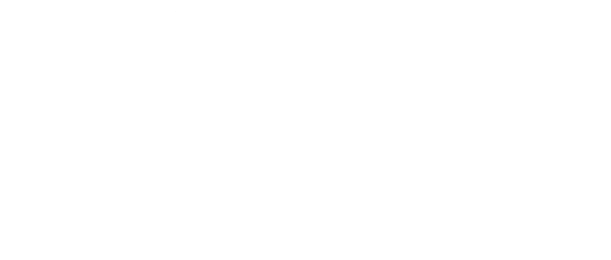 Sinds 1990 heeft Arjan Bregman een eigen adviespraktijk: Bregman Advisering BV. Bregman heeft tientallen publicaties op zijn vakgebied op zijn naam staan en spreekt regelmatig op studiebijeenkomsten en congressen.